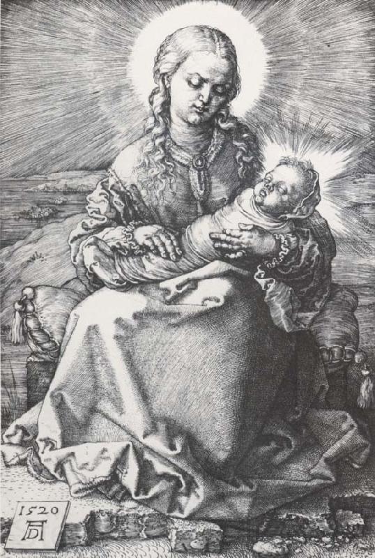 Albrecht Durer Virgin with the Swaddled Norge oil painting art